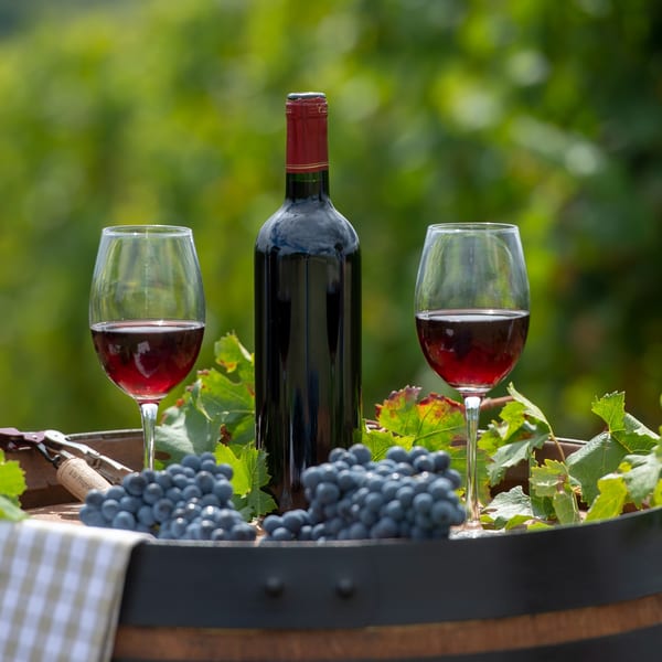 Red wine bottle, two glasses, grapes, and corkscrew on a barrel in a vineyard.