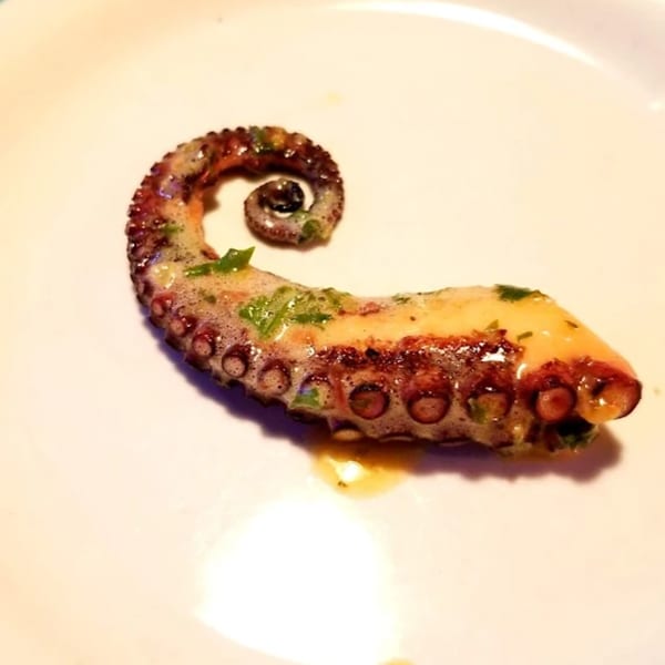 Grilled octopus tentacle with a light sauce and herbs, served on a white plate.